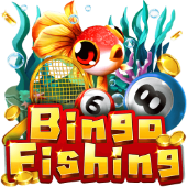 Câu Cá Bingo Fluke TP88